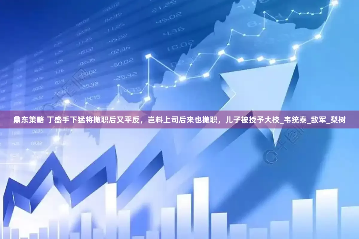 鼎东策略 丁盛手下猛将撤职后又平反，岂料上司后来也撤职，儿子被授予大校_韦统泰_敌军_梨树