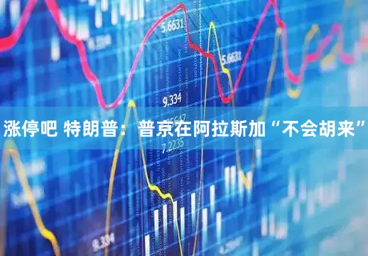 涨停吧 特朗普：普京在阿拉斯加“不会胡来”